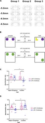 A critical role for long-term potentiation mechanisms in the maintenance of object recognition memory in perirhinal cortex revealed by the infusion of zeta inhibitory pseudosubstrate